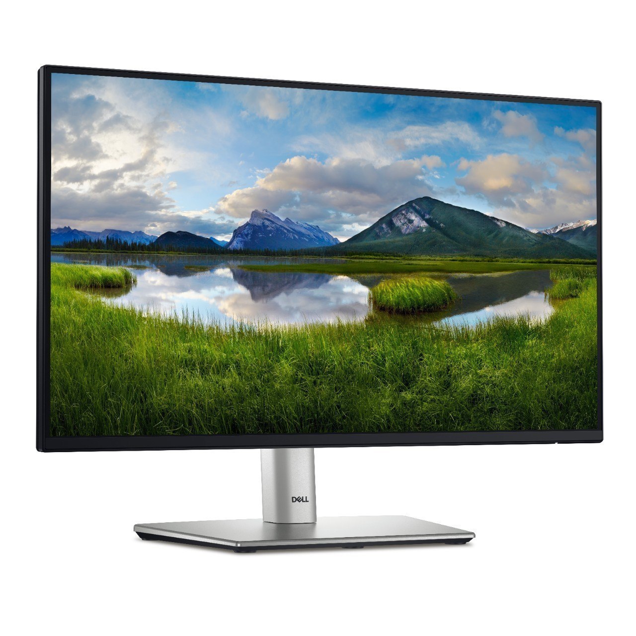 Dell P series 21.5'' P2225H  Height and tilt adjustable.  VESA Compatible. 