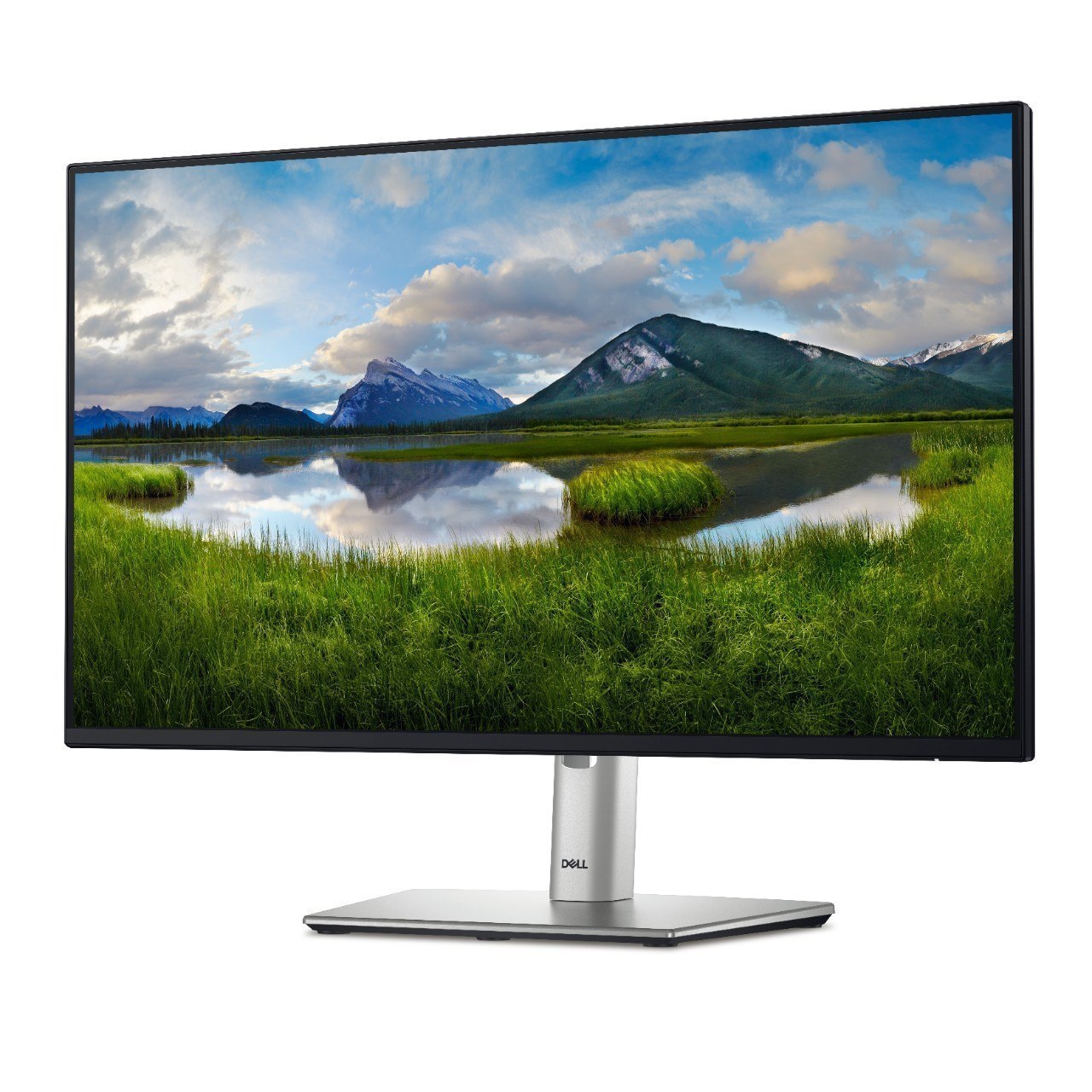  Dell P-Series 23.8" Monitor P2425H