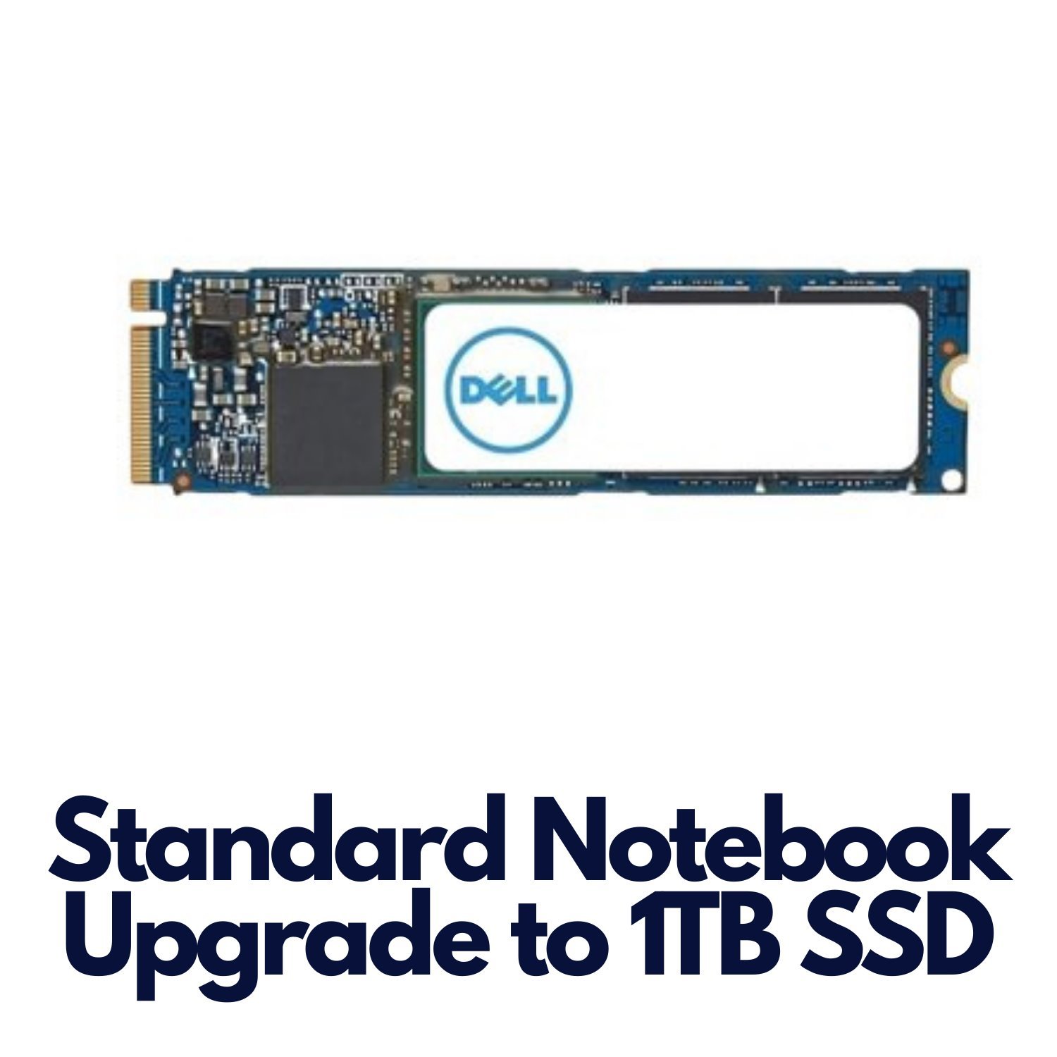 Standard/Lightweight  Notebook Upgrade To 1TB SSD HD