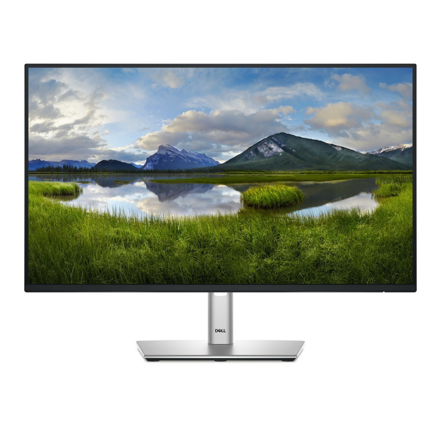 Dell P Series 24 Monitor - P2425H