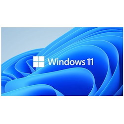 Microsoft Windows 11 Pro 64-bit for Workstations - License - 1 License