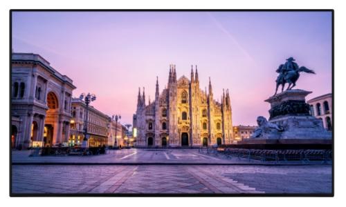 Vestel PR55B 4K 55” Display