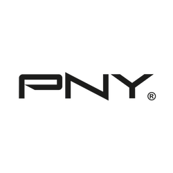 PNY NVLink Bridge