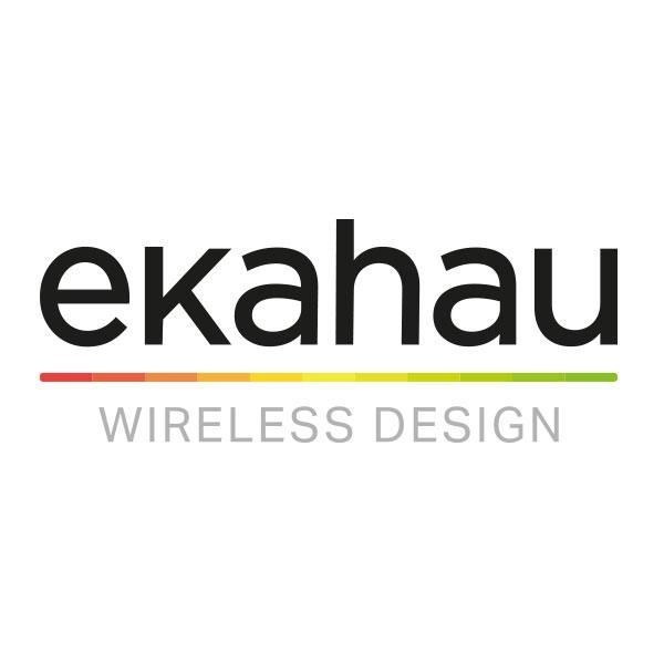 Ekahau Site Survey Pro Support 1Y RNWL