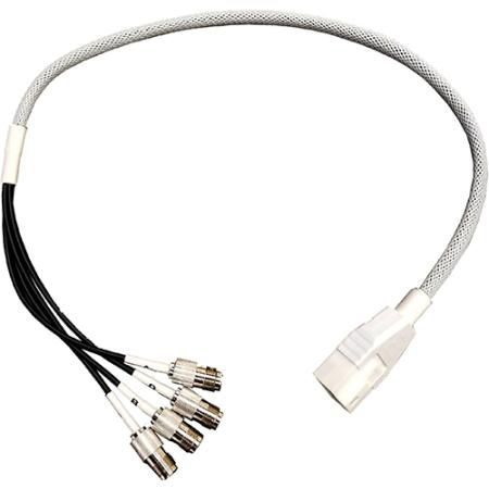 Ventev 4 Port N Plug Dart Cable
