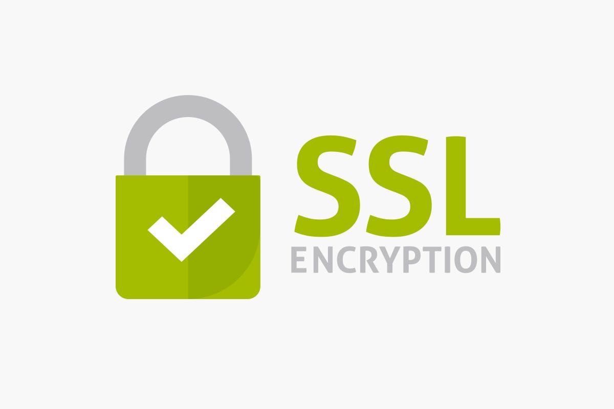  2 Year Standard SSL Renewal