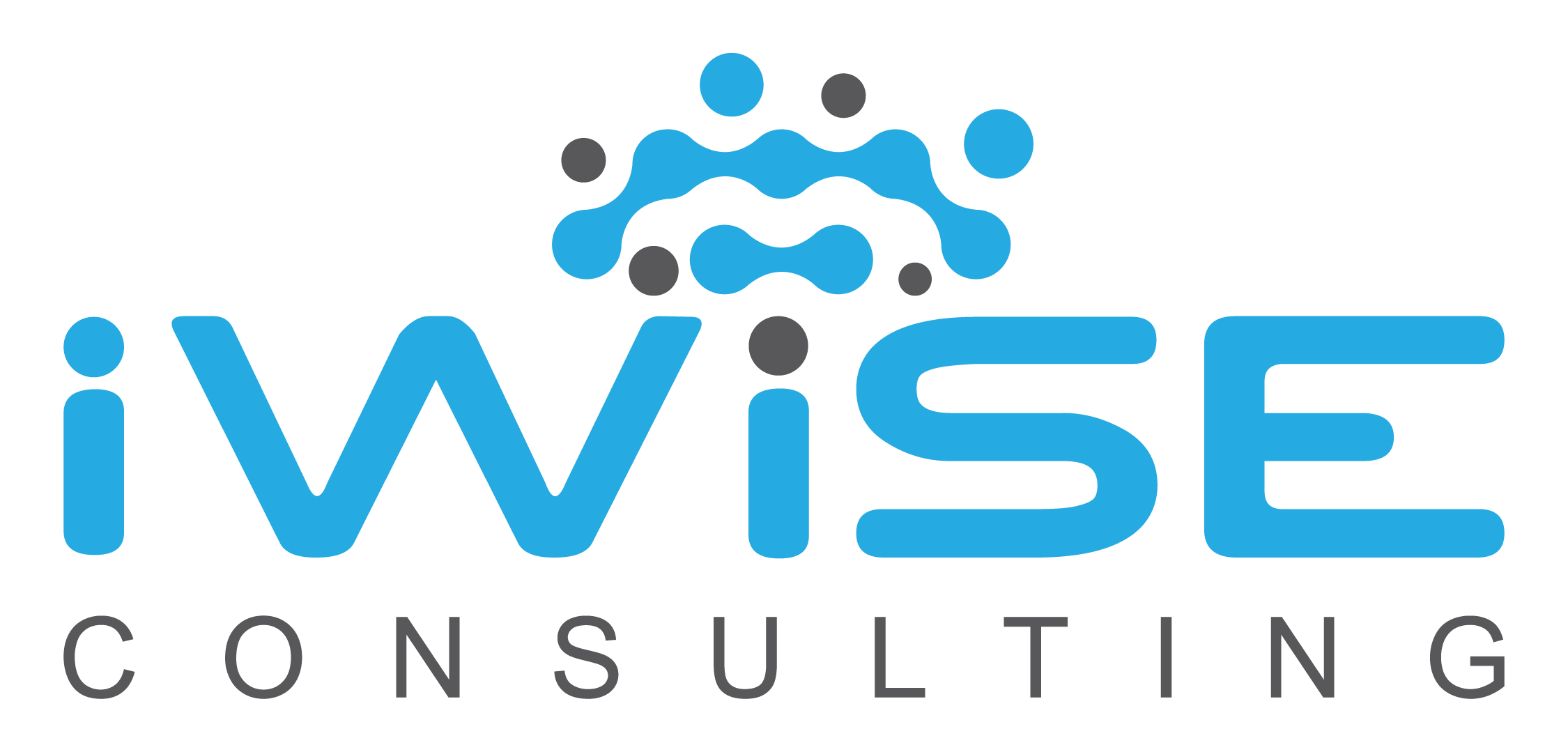 iWise Consulting