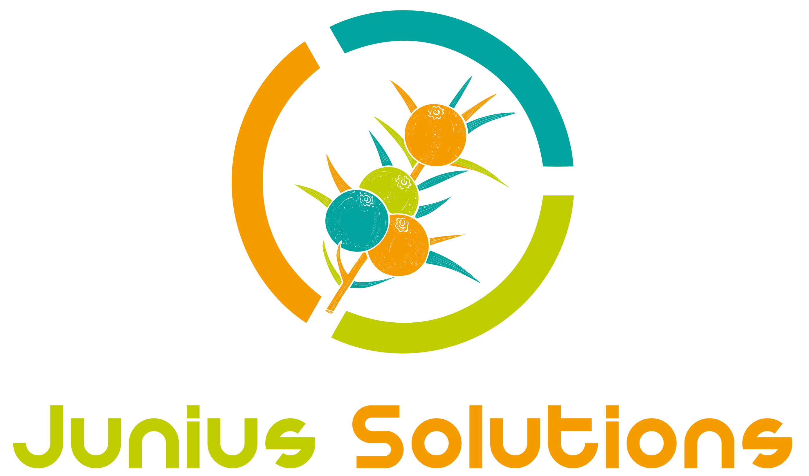 Junius Solutions