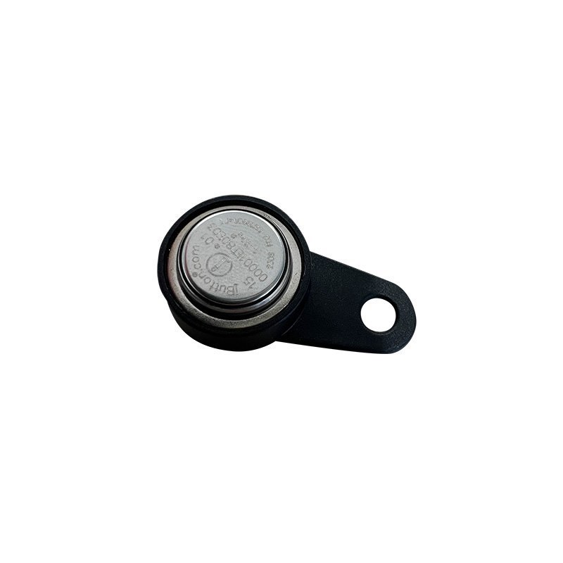 Teltonika Magnetic iButton Key