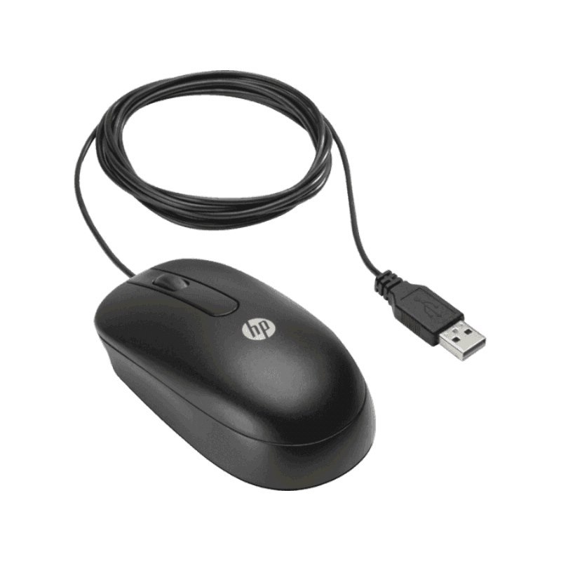 Hewlett Packard HP Qy777aa Usb Optical Scroll Mouse