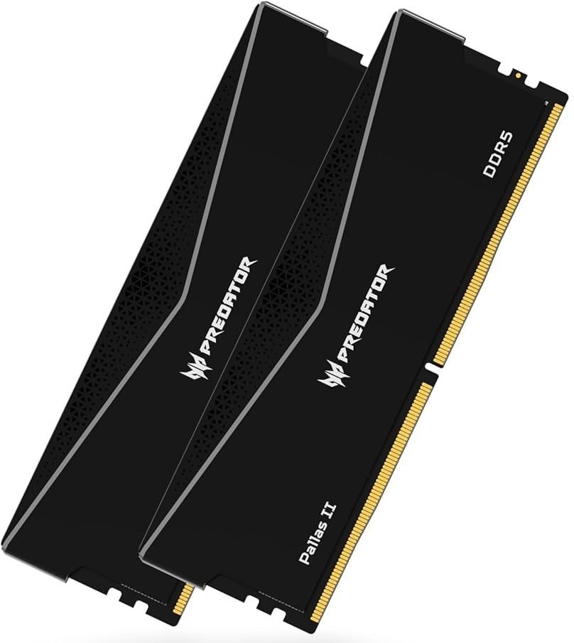 Biwin Predator Pallasii DDR5 32GB Black 16GBx2 6000Mhz 1R8 CL34 Black Supports Intel XMP 3.0 And Amd Expo CL34
