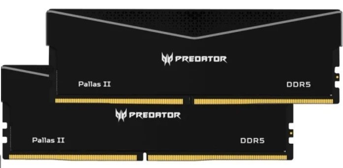Biwin Predator Pallasii DDR5 64GB Black 32GBx2 6000Mhz 1R8 CL30 Supports Intel XMP 3.0 And Amd Expo CL30