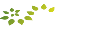Kirra Services