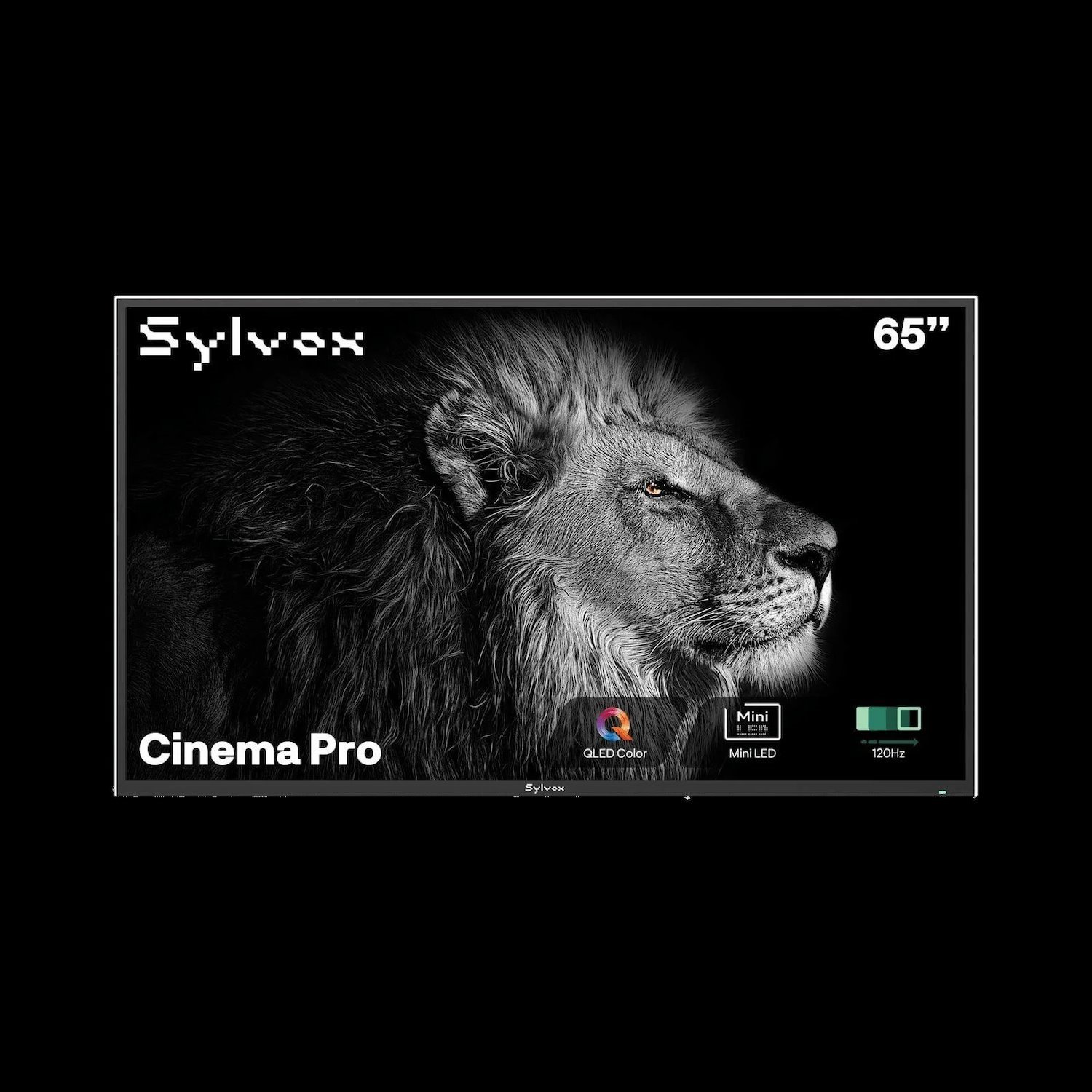 Sylvox 65" Full Sun Cinema Pro Outdoor TV QLED 5000 NITS