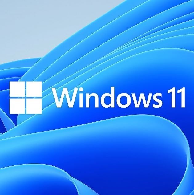 Microsoft Windows 11 Home 64-bit - License - 1 License