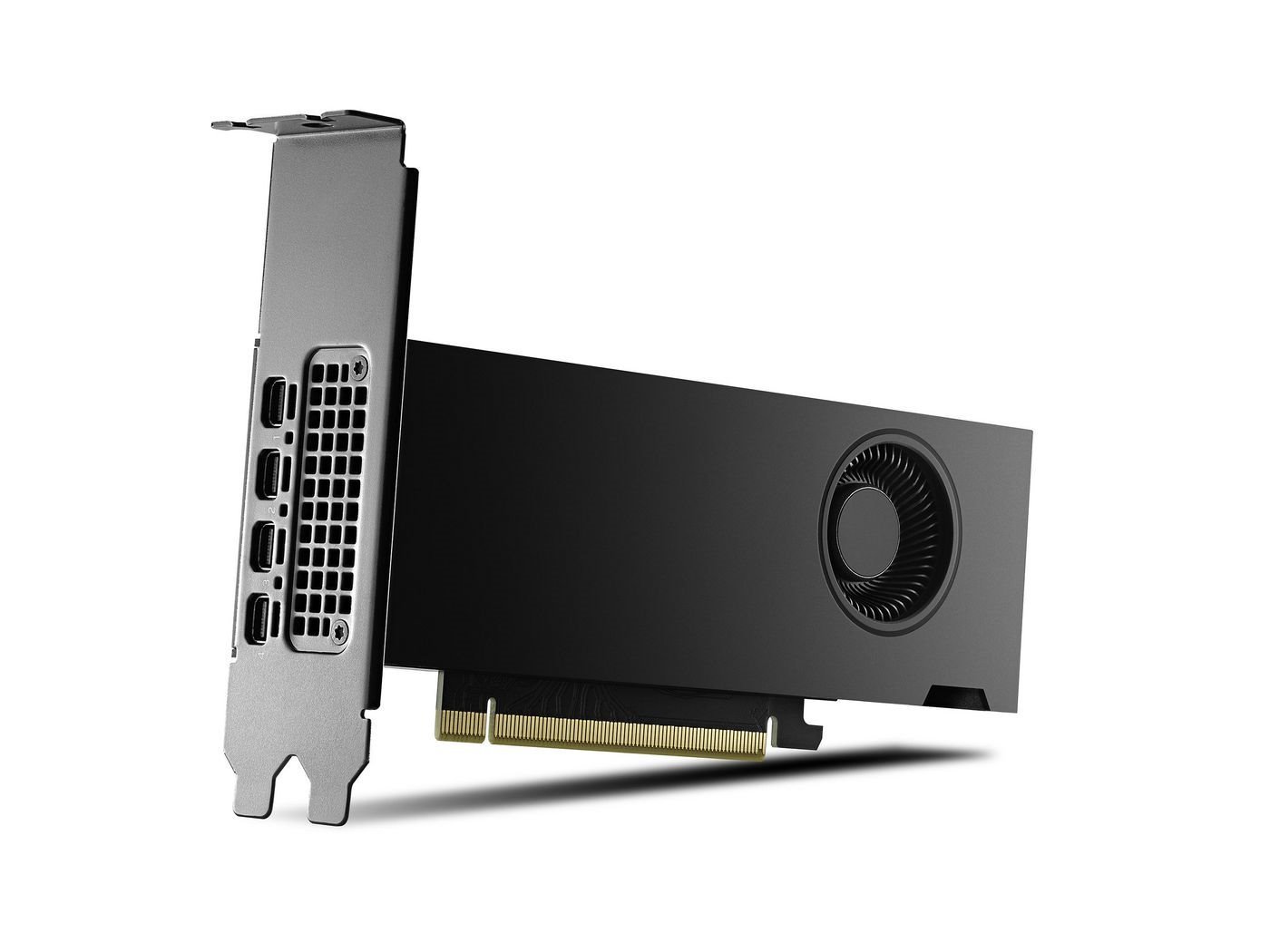 PNY NVIDIA RTX 2000 Ada Graphic Card - 16 GB GDDR6 - Low-profile