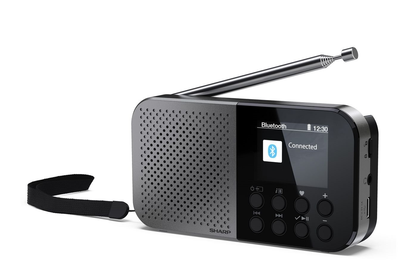 Sharp DR-P520 Personligt Digital GRÅ
