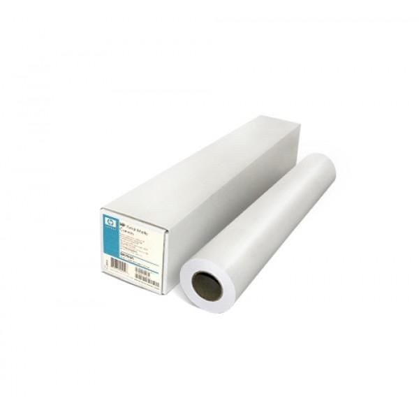 HP Professional Canvas
