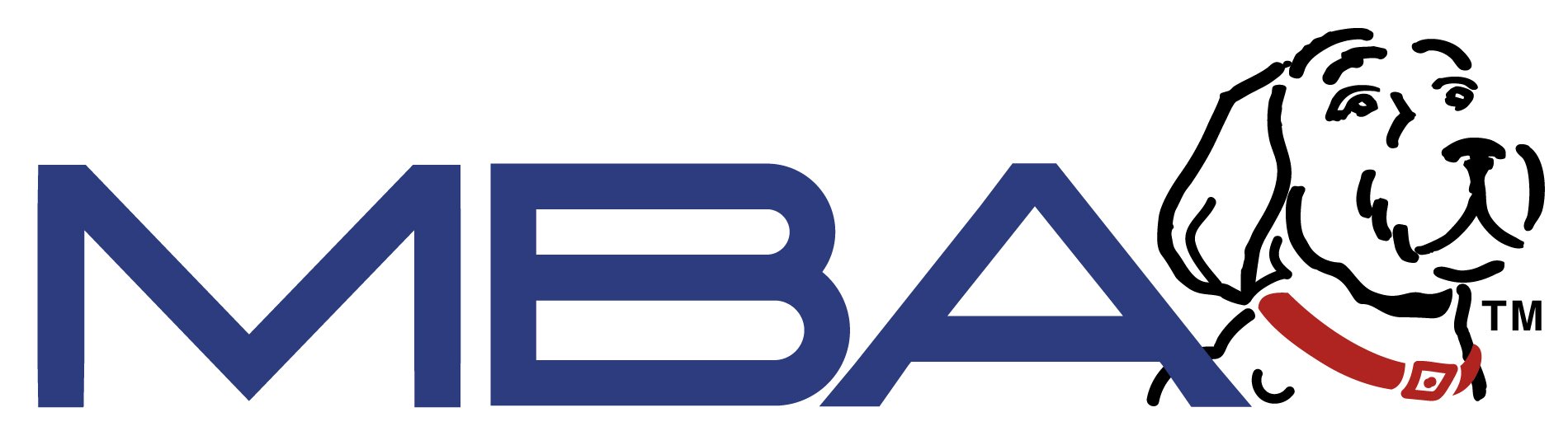 MBA Business Systems