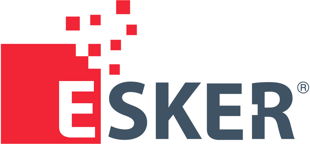 Esker Two Channels On Vsi-Fax