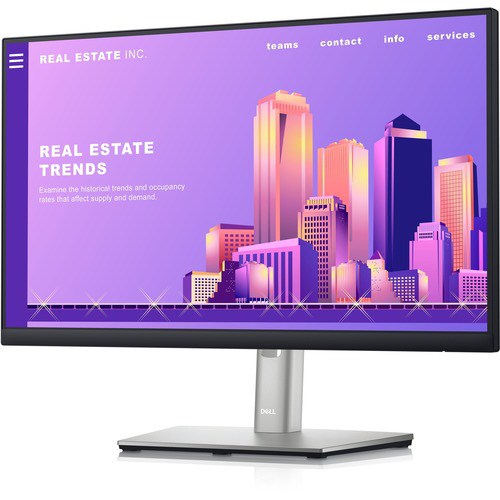 Dell 22" Professional Monitor