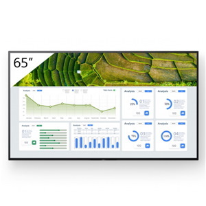 Sony Pro BRAVIA FW-65BZ30L Digital Signage Display