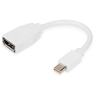 Ednet Mini DisplayPort (M) To DisplayPort (F) Adapter Cable.