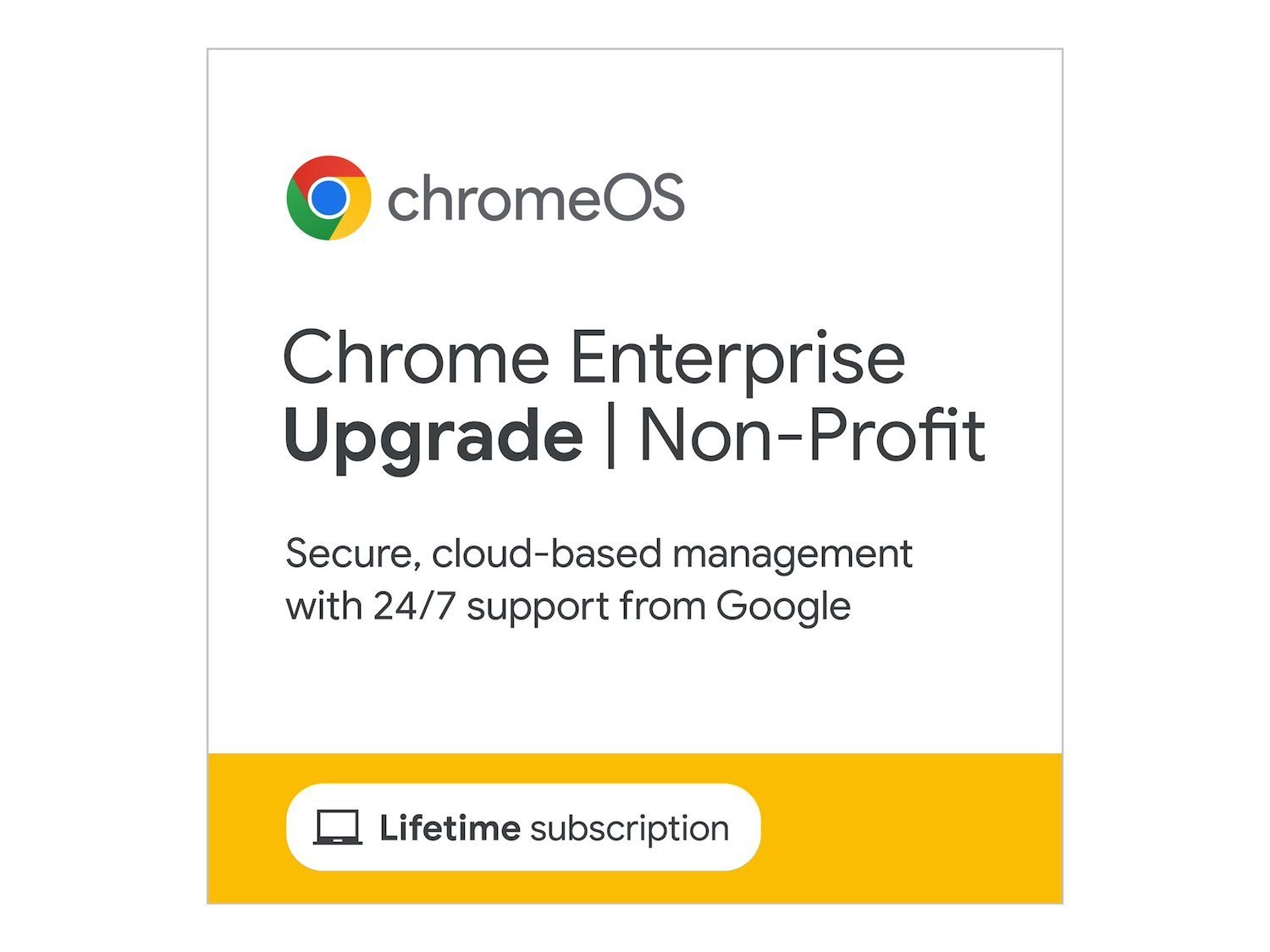 Google Chrome NonProfit Upgrade + 3 Years Support - License - 1 License