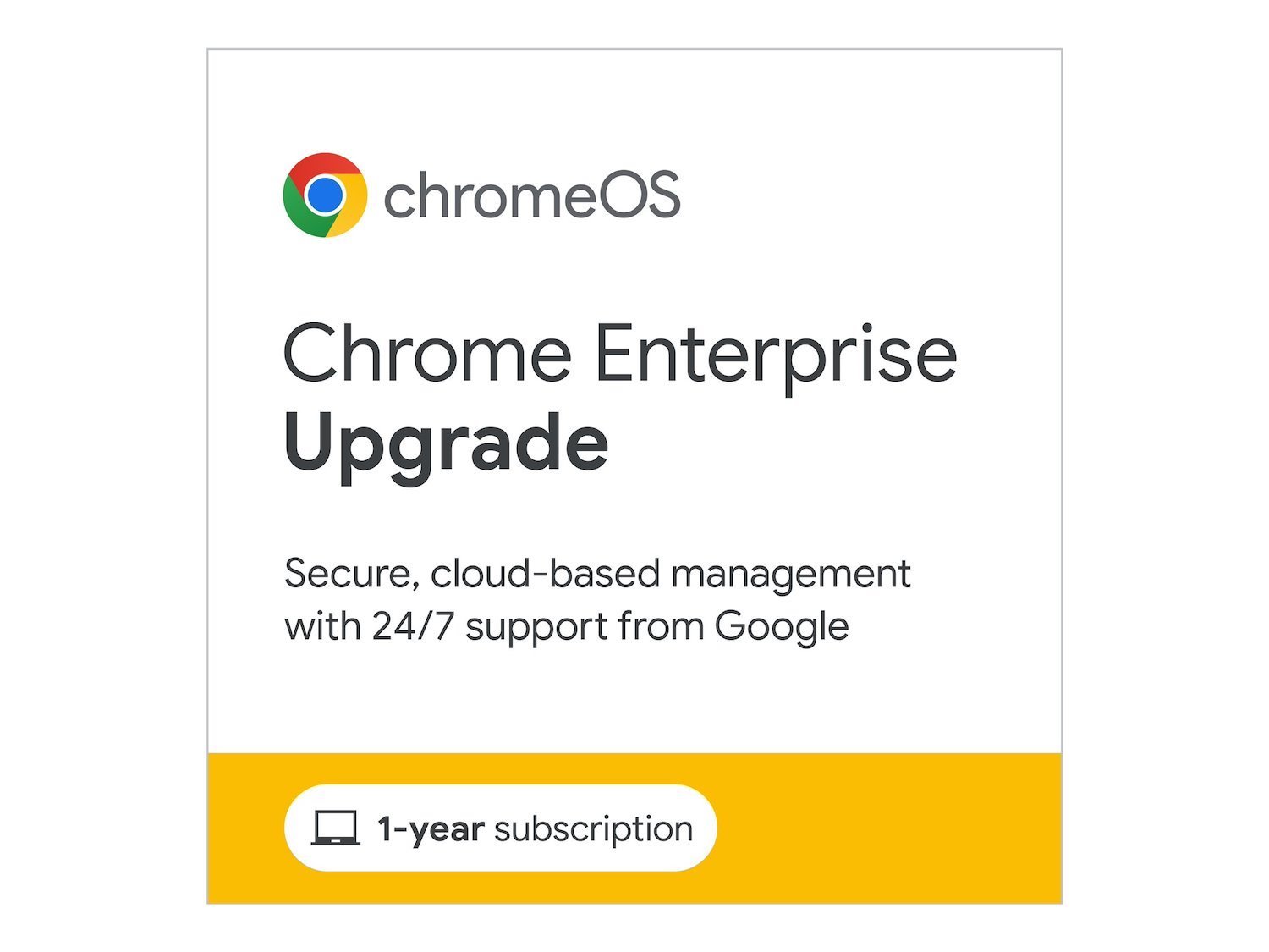 Google Chrome Enterprise Upgrade - Subscription License - 1 License - 1 Year