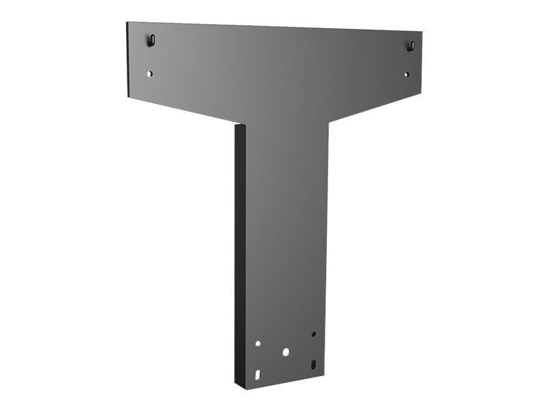 Avteq Cisco Room Kit MNT 32-55In TV