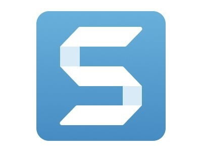 Techsmith Corp. Snagit-24 Seat Extension + Maintenance 1-4 Users