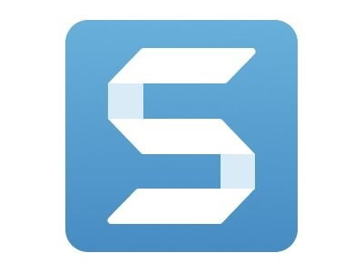 Techsmith Corp. Snagit Maintenance Renewal 500+ Users