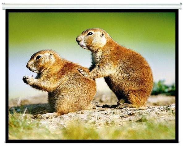 Brateck Manual Projector Screen 2.0X1.5M (4:3 Ratio) (LS)
