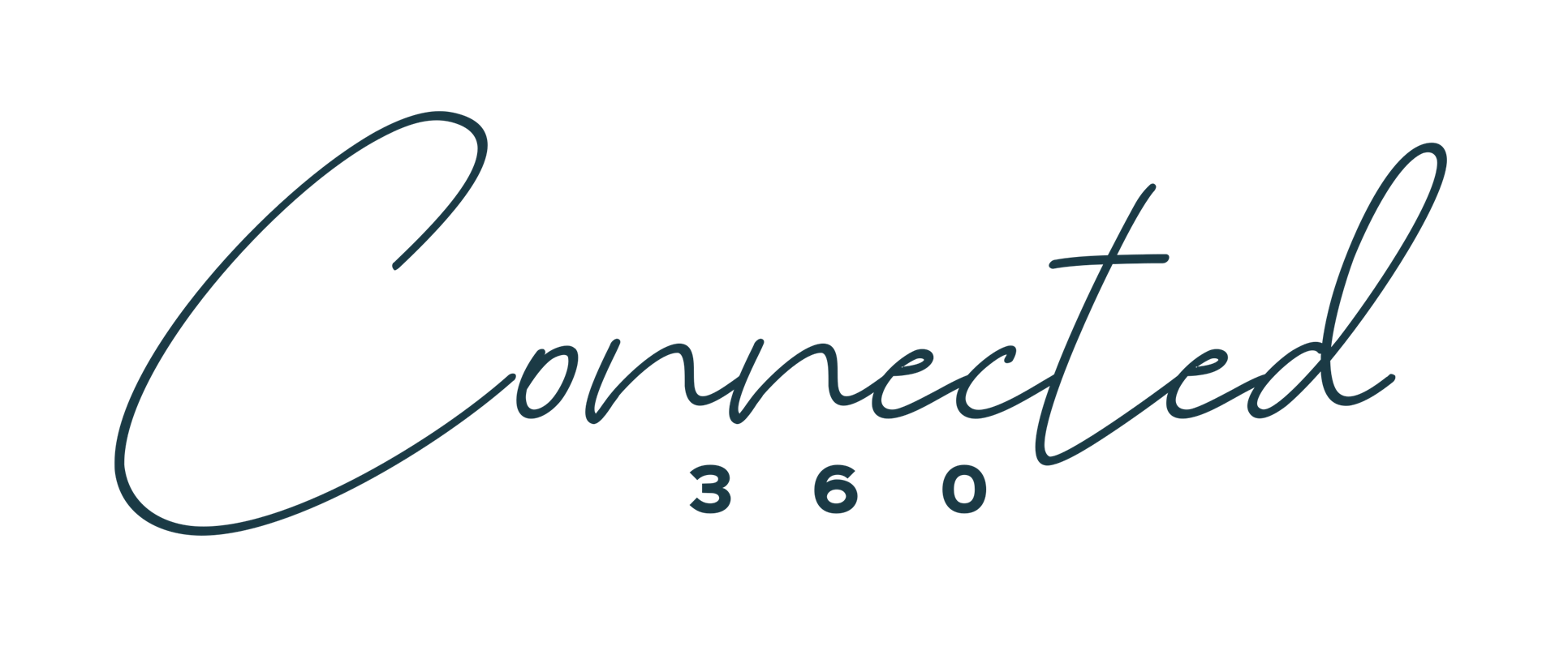 SIP Channel Pro Software 4 Channel