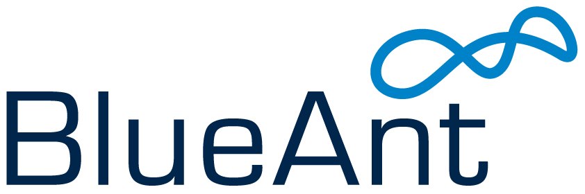 Blueant X4 Speaker - White