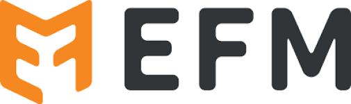 Efm 30W Dual Port Wall Charger