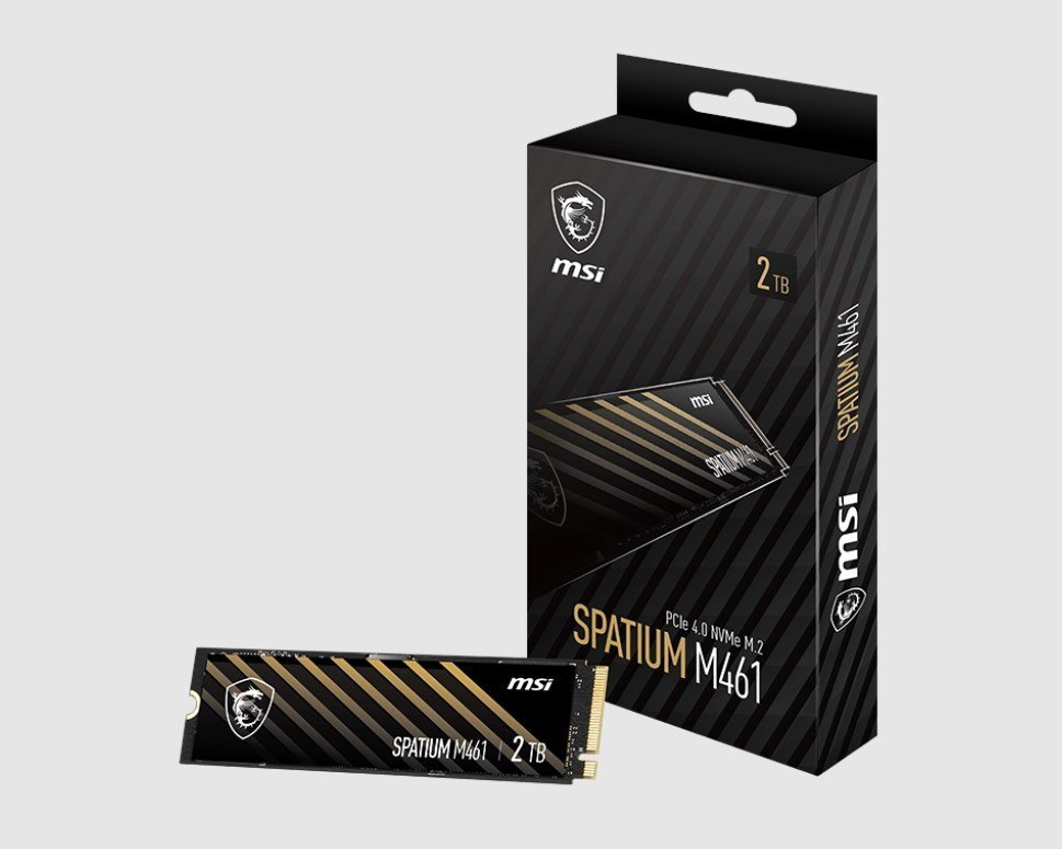 Msi Spatium M461 PCIe 4.0 NVMe M.2 2TB Internal SSD PCIe Gen4 NVMe (Spatium M461 PCIe 4.0 NVMe M.2 2TB), 5 Year Warranty