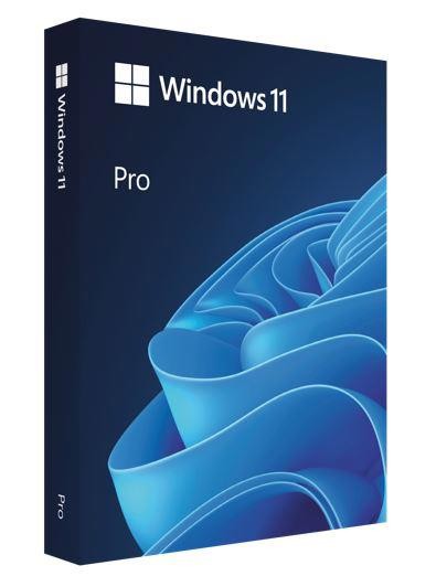Microsoft Windows 11 Pro 64-bit - License - 1 License