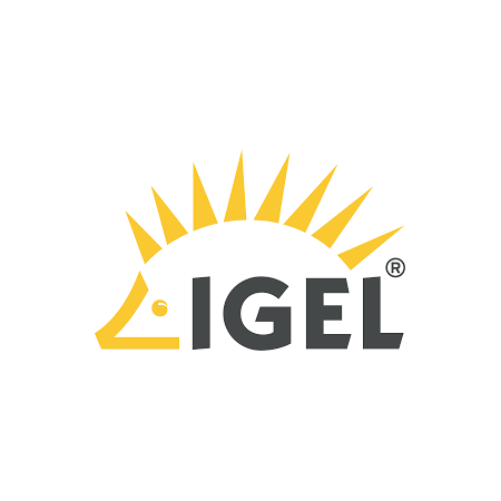 IGEL Priority Plus Support - Service