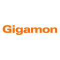 Gigamon Initial Gigamon Pass-Through Support TYP