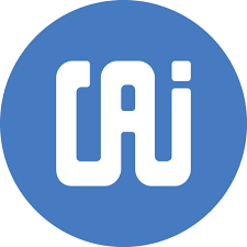 Countryman Associates E6 Earset