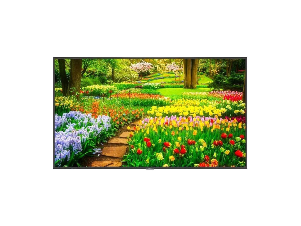 Nec Multisync M491-Ir 49 Led LCD