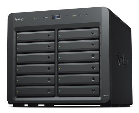 Synology DX1222 Expanison