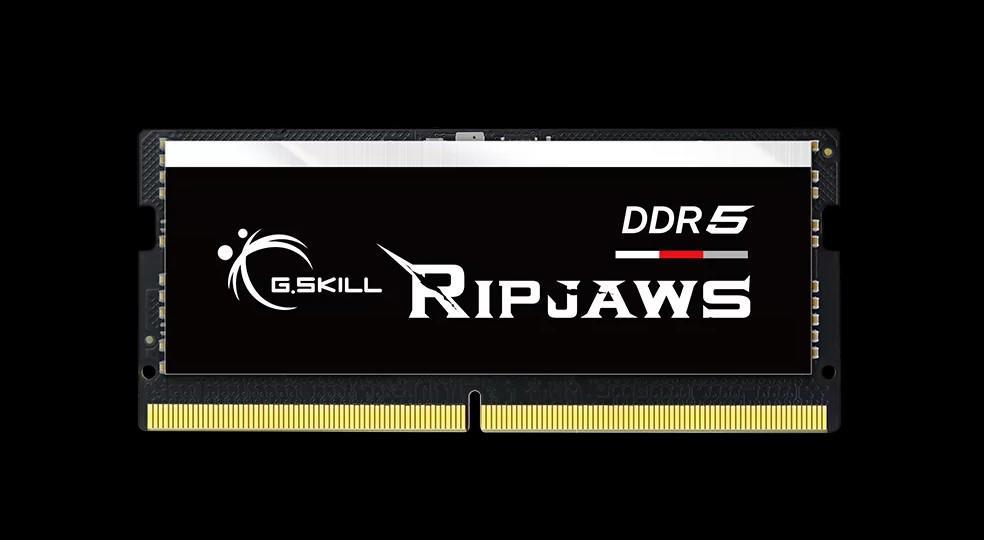 G.Skill F5-5600S4645a48gx1-Rs 48GB (1 X 48GB)/ DDR5 5600 MT/s / Timings 46-45-45-89/ Voltage 1.1V