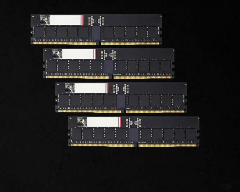 G.Skill F5-6000R3036G16GQ4-G5N 64GB (4 X 16GB)/ DDR5 6000 MT/s/ Timings 30-36-36-96/ Voltage 1.4V/ Expo