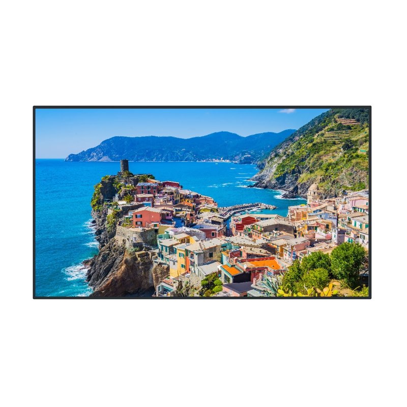 Panasonic Th-65Eq2w 65 4K Uhd LCD Display