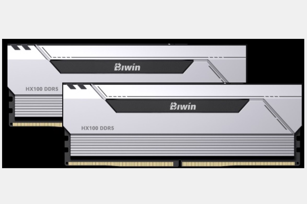 Biwin DDR5 Memory HX100 Heatsink 6000MHZ 32Kits (16GB*2) CL36 Silver Black Opal (Gaming) BXH53260HX1-D36DS