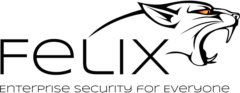Felix FLX Sof Enforcer-Sec-1Usr-12M-Oem