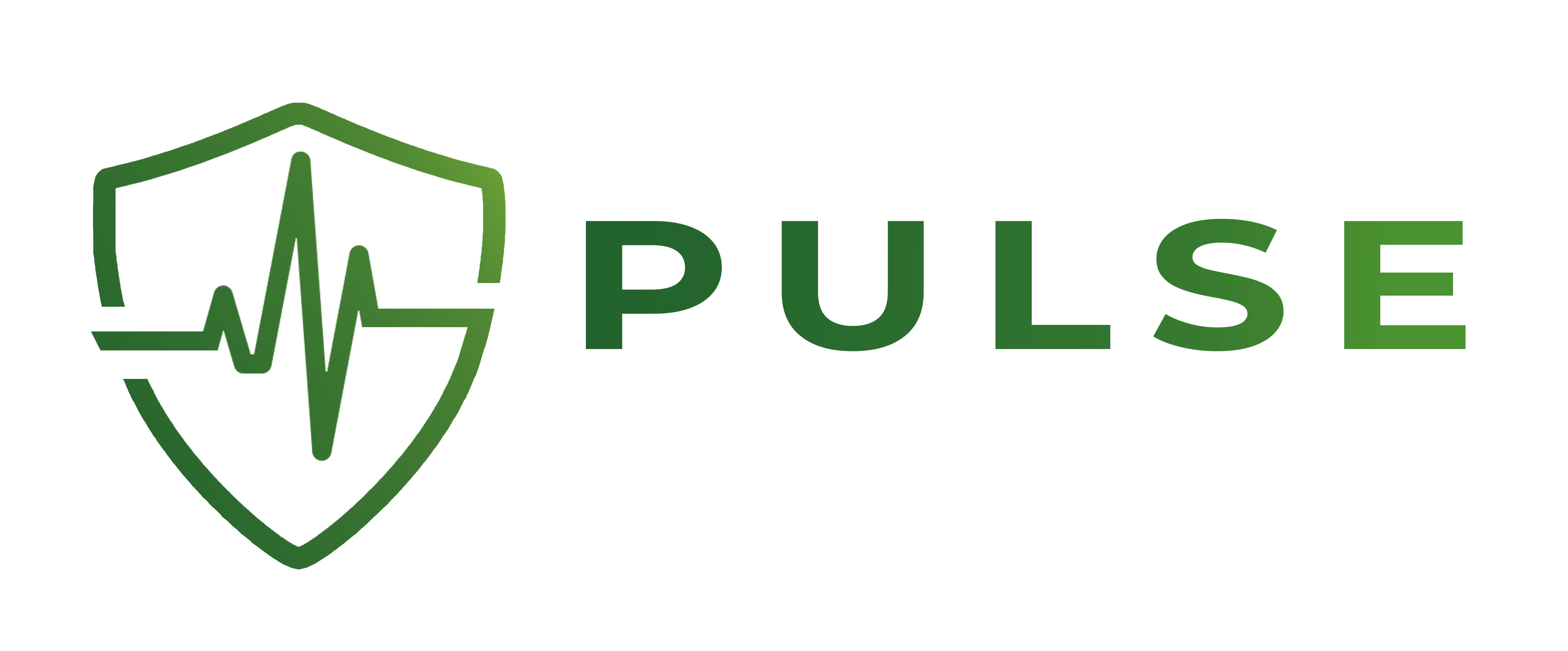 Pulse Technology Consulting Group Inc.