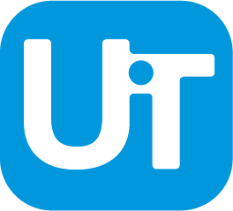 Unite Information Technology Services, Inc